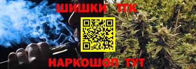стаф Камышлов