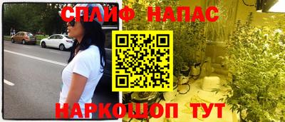 стаф Камышлов