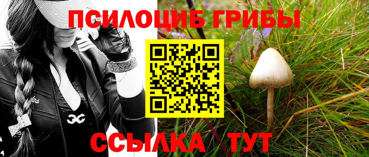 Псилоцибиновые грибы Magic Shrooms  Галлюциногенные грибы GOLDEN TEACHER  Вход с VPN  Кропоткин 